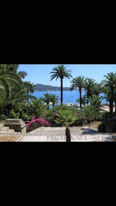 Le Dyonisos Et Piscine Appartement La Seyne-sur-Mer Buitenkant foto