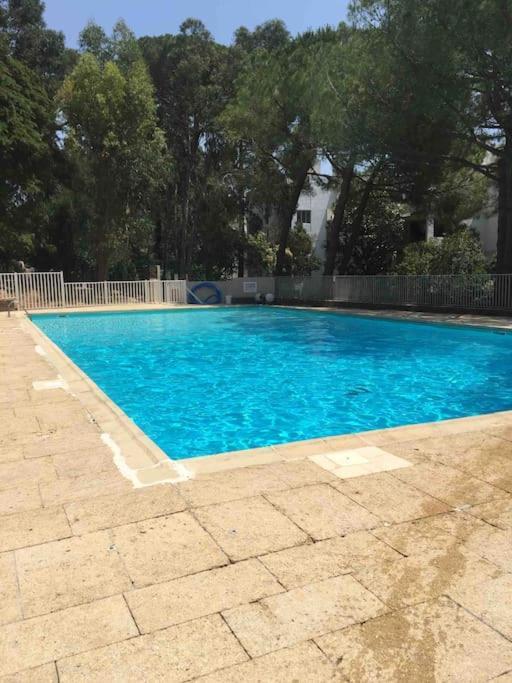 Le Dyonisos Et Piscine Appartement La Seyne-sur-Mer Buitenkant foto