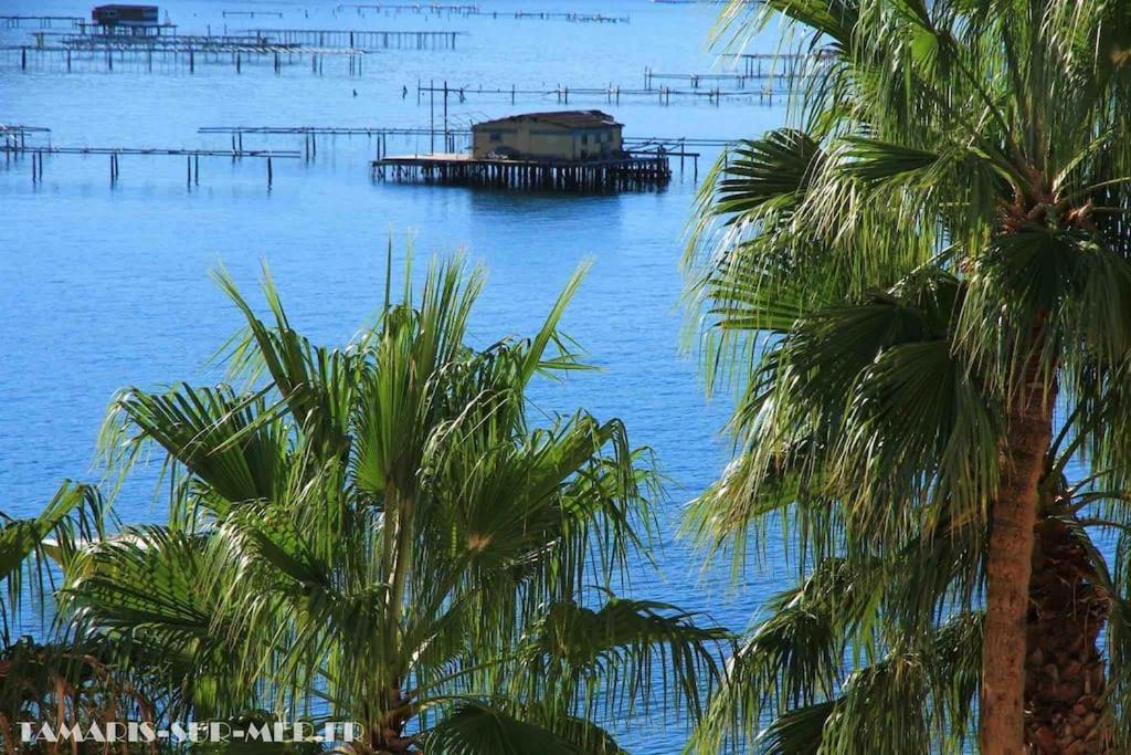 Le Dyonisos Et Piscine Appartement La Seyne-sur-Mer Buitenkant foto